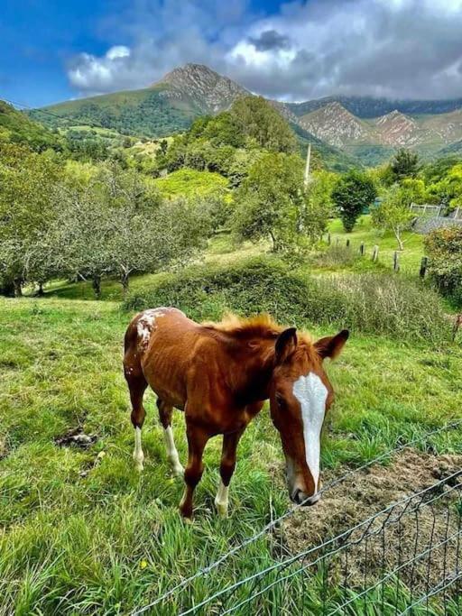 La Coqueta Del Sueve Villa Arriondas Kültér fotó