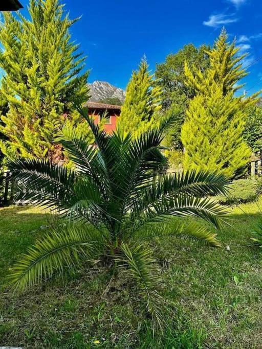 La Coqueta Del Sueve Villa Arriondas Kültér fotó