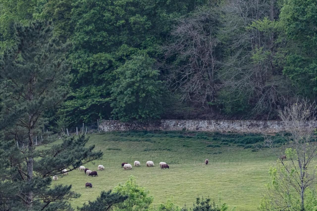 La Coqueta Del Sueve Villa Arriondas Kültér fotó