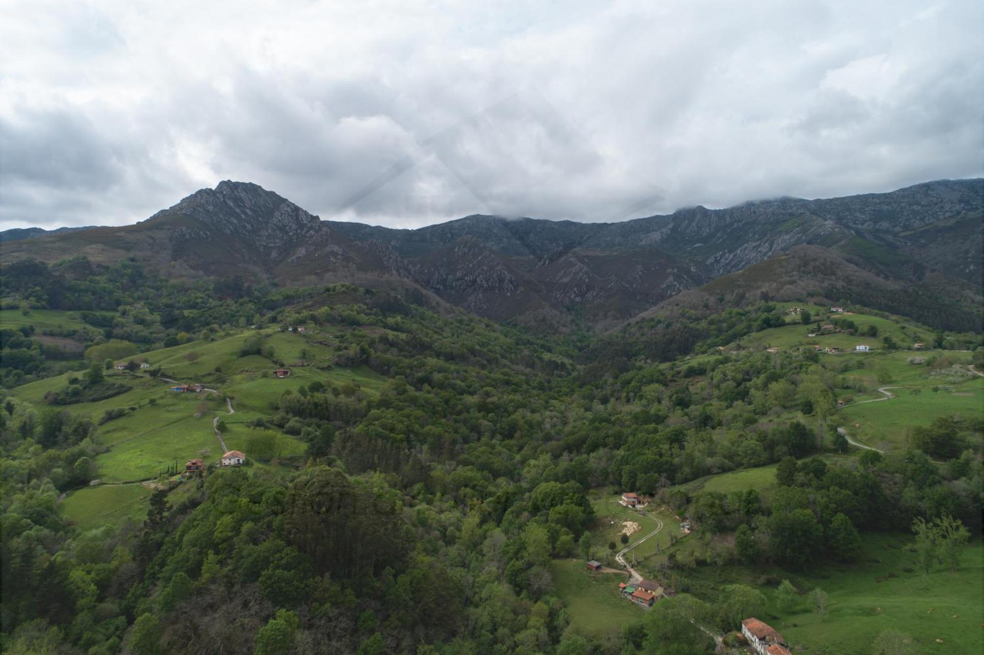 La Coqueta Del Sueve Villa Arriondas Kültér fotó