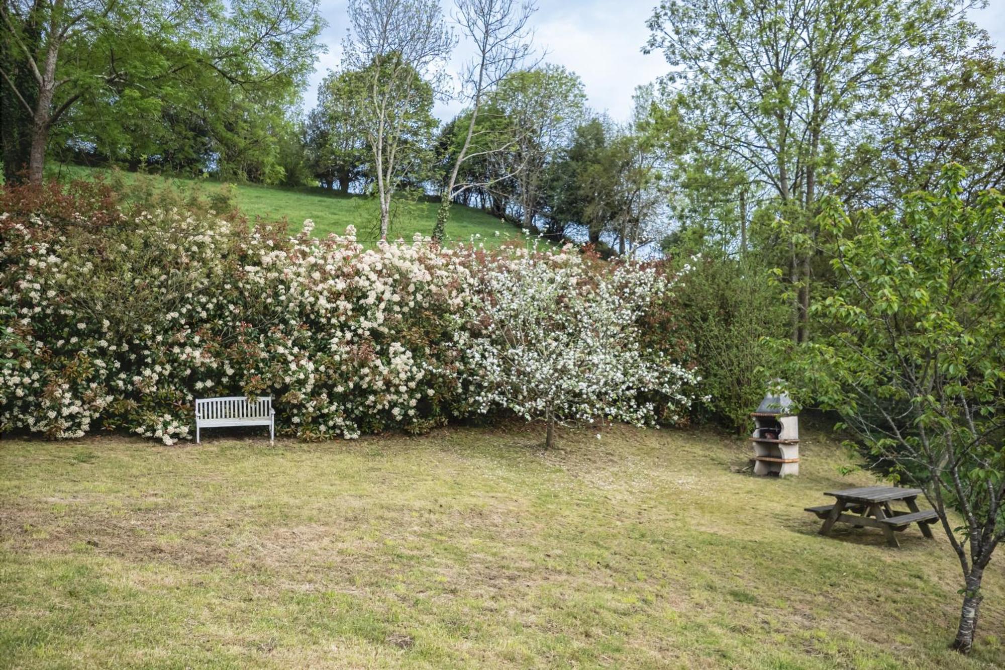 La Coqueta Del Sueve Villa Arriondas Kültér fotó
